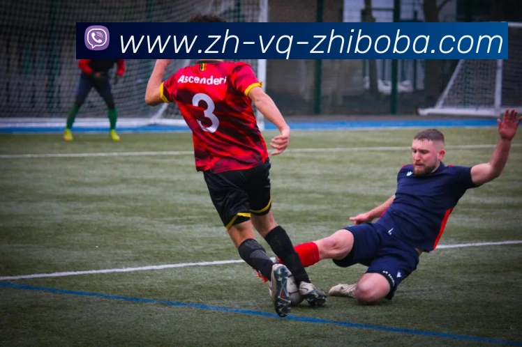 多媒体互动体验